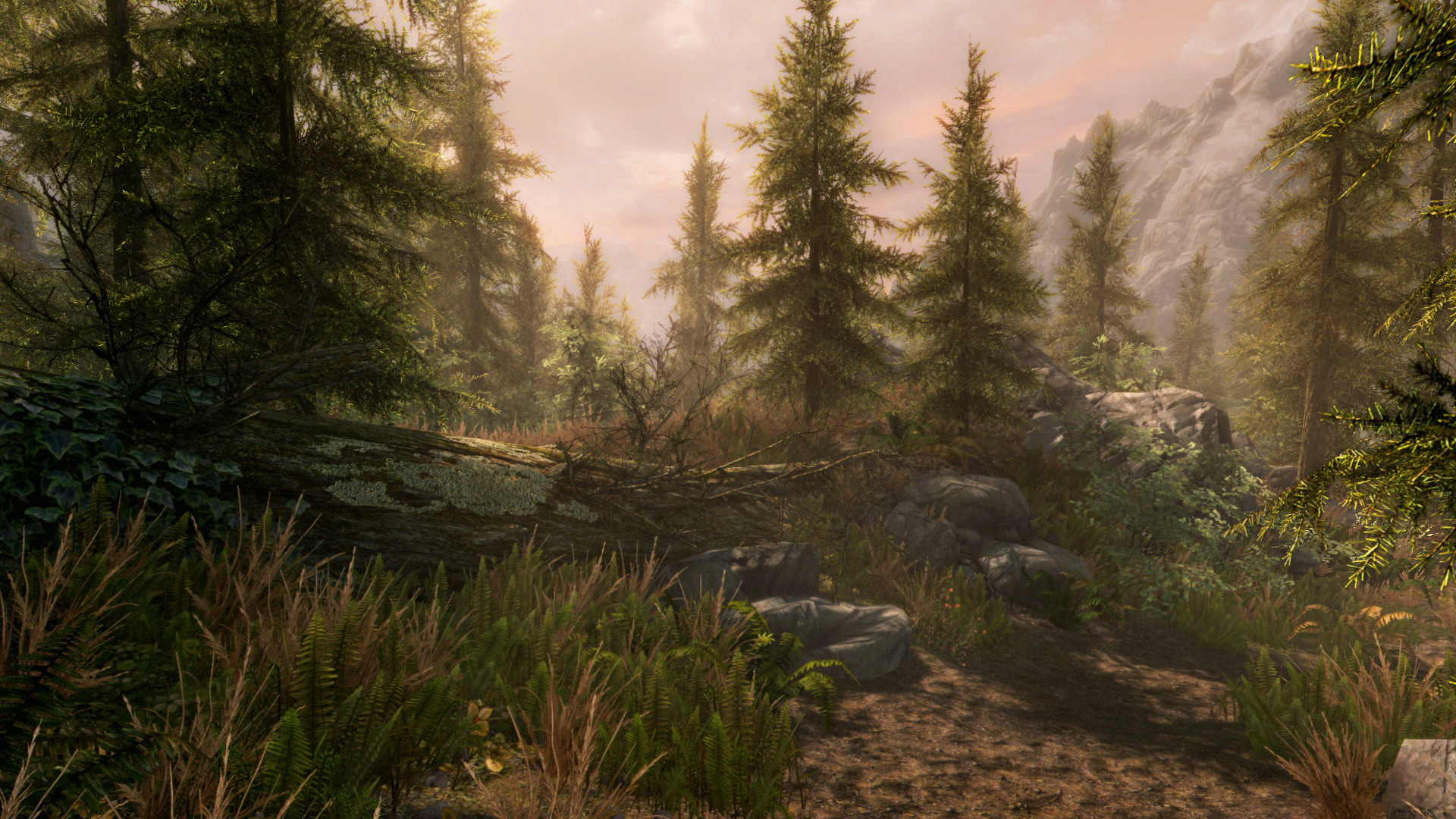 木漏れ日が差す針葉樹の森と山道を写したSkyrimの風景