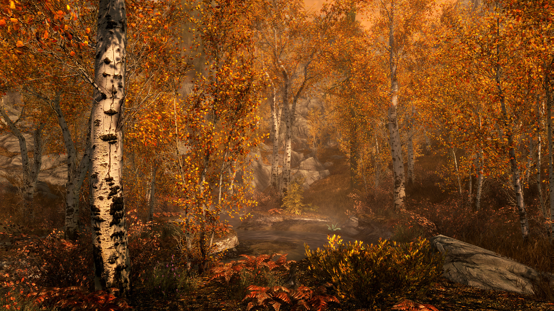 黄色く色づいた木々と岩が並ぶSkyrim Special Editionの森林